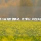 胡金秋身高臂展揭秘，篮球场上的优势密码
