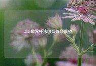 2026世界杯法国队阵容展望