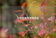 CF中结束发言的方法