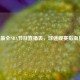 最全NBA节目直播表，球迷观赛指南！