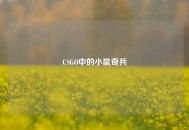 CSGO中的小鼠奇兵