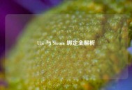 Ubi 与 Steam 绑定全解析