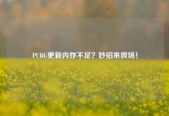 PUBG更新内存不足？妙招来救场！