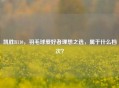 凯胜B110,羽毛球爱好者理想之选,属于什么档次?
