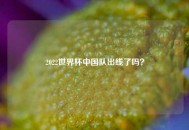 2022世界杯中国队出线了吗？