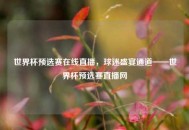 世界杯预选赛在线直播，球迷盛宴通道——世界杯预选赛直播网