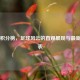 阿甲积分榜，足球风云的直观展现与最新积分表