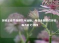 探秘王者荣耀微信电脑版，开启全新游戏体验，解答有无疑问