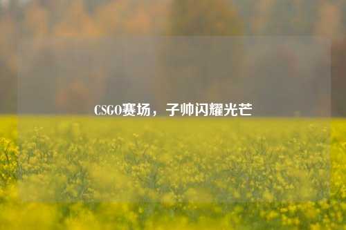 CSGO赛场，子帅闪耀光芒