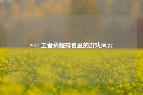 2017 王者荣耀排名里的游戏风云