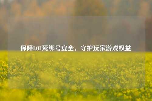 保障LOL死绑号安全，守护玩家游戏权益