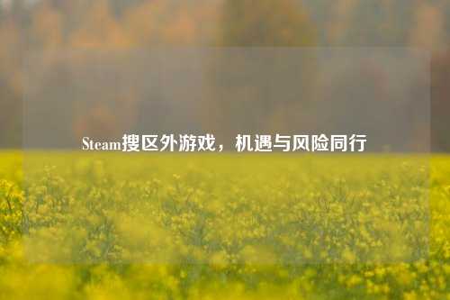 Steam搜区外游戏，机遇与风险同行