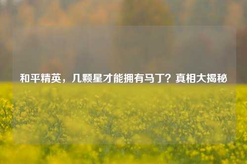 和平精英，几颗星才能拥有马丁？真相大揭秘