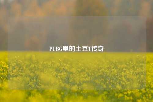 PUBG里的土豆T传奇