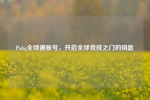 Pubg全球通账号，开启全球竞技之门的钥匙