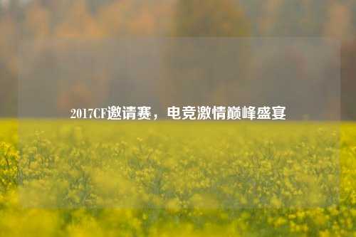 2017CF邀请赛，电竞激情巅峰盛宴