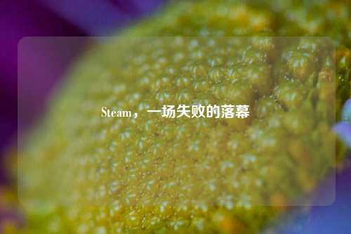 Steam,一场失败的落幕