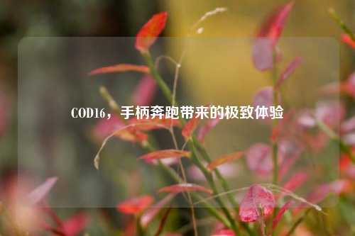 COD16,手柄奔跑带来的极致体验