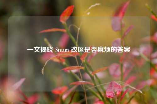 一文揭晓 Steam 改区是否麻烦的答案