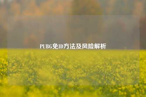PUBG免ID方法及风险解析