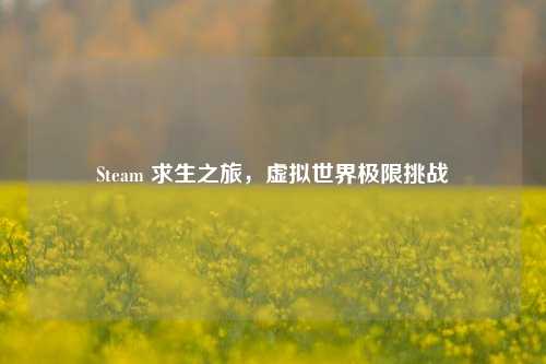 Steam 求生之旅，虚拟世界极限挑战