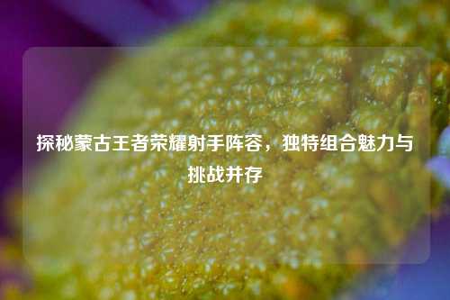 探秘蒙古王者荣耀射手阵容，独特组合魅力与挑战并存
