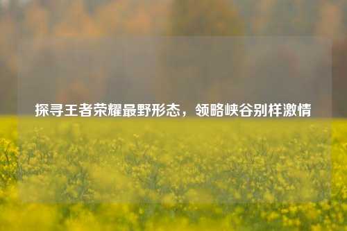 探寻王者荣耀最野形态,领略峡谷别样激情