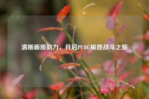 清晰画质助力,开启PUBG极致战斗之旅