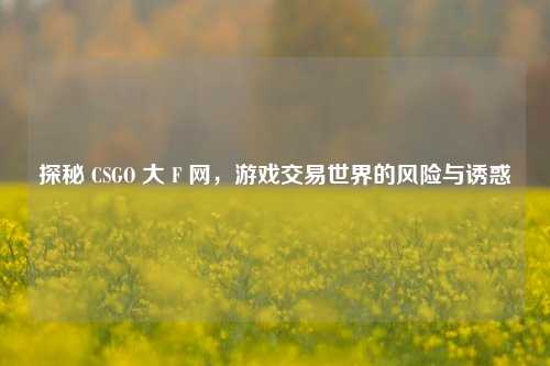探秘 CSGO 大 F 网,游戏交易世界的风险与诱惑