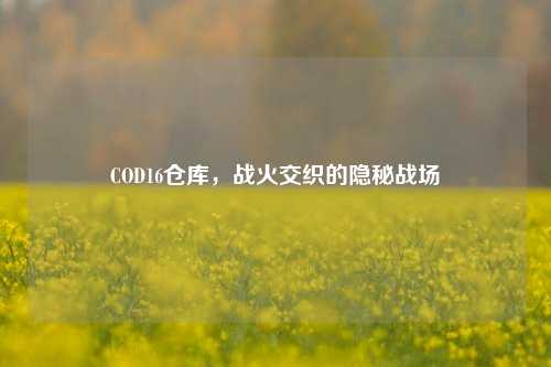 COD16仓库，战火交织的隐秘战场
