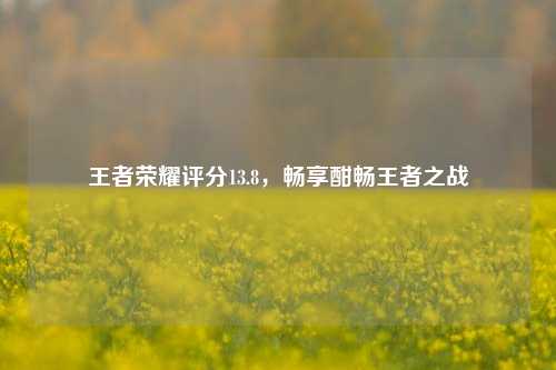 王者荣耀评分13.8，畅享酣畅王者之战
