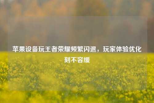 苹果设备玩王者荣耀频繁闪退，玩家体验优化刻不容缓