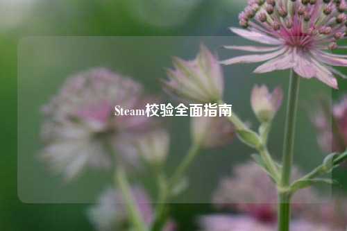 Steam校验全面指南