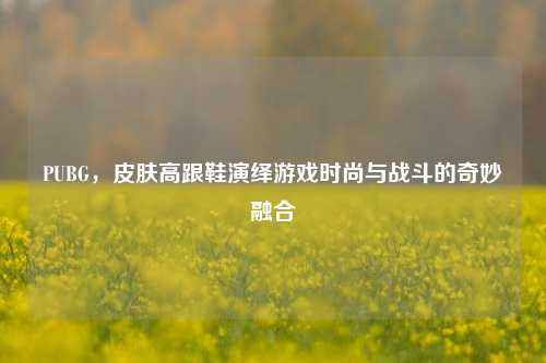 PUBG，皮肤高跟鞋演绎游戏时尚与战斗的奇妙融合