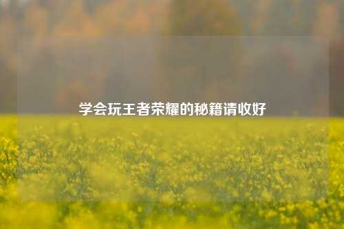 学会玩王者荣耀的秘籍请收好