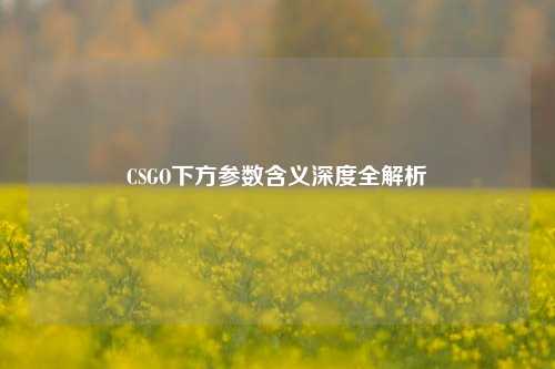 CSGO下方参数含义深度全解析