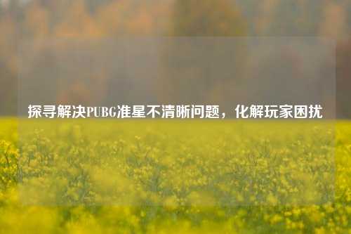 探寻解决PUBG准星不清晰问题，化解玩家困扰