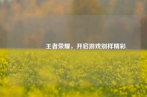 😎王者荣耀，开启游戏别样精彩