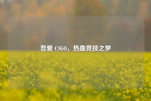 吾爱 CSGO，热血竞技之梦
