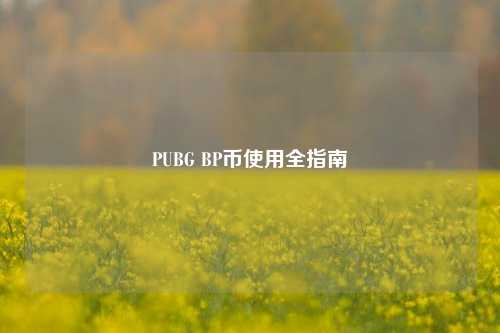 PUBG BP币使用全指南