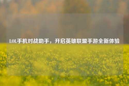 LOL手机对战助手,开启英雄联盟手游全新体验