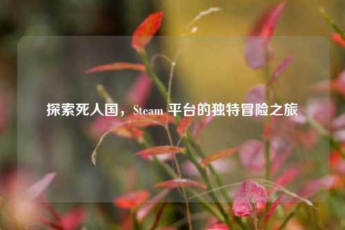 探索死人国，Steam 平台的独特冒险之旅