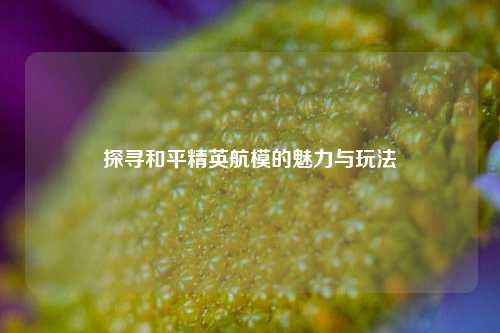 探寻和平精英航模的魅力与玩法