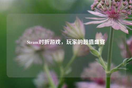 Steam对折游戏，玩家的超值盛宴