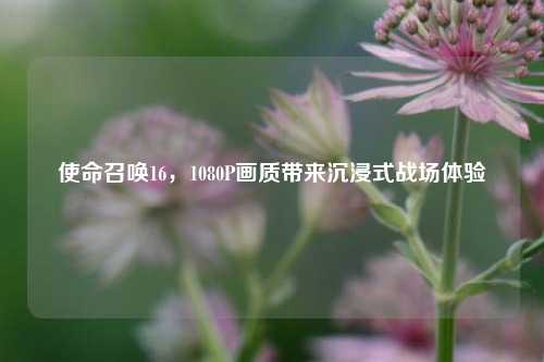 使命召唤16,1080P画质带来沉浸式战场体验