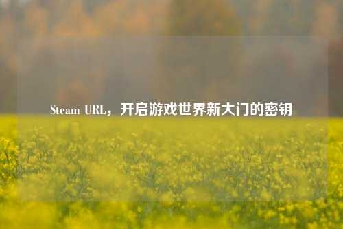 Steam URL，开启游戏世界新大门的密钥