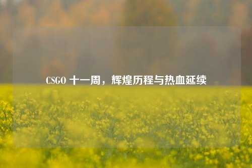CSGO 十一周，辉煌历程与热血延续