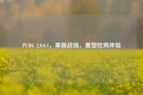 PUBG 2.0.0.1，革新战场，重塑吃鸡体验