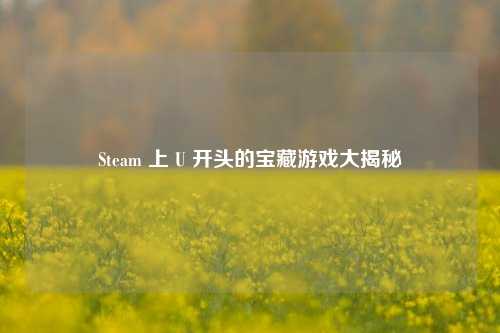 Steam 上 U 开头的宝藏游戏大揭秘