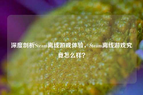 深度剖析Steam离线游戏体验，Steam离线游戏究竟怎么样？